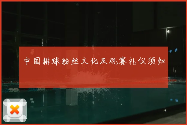 中国排球粉丝文化及观赛礼仪须知