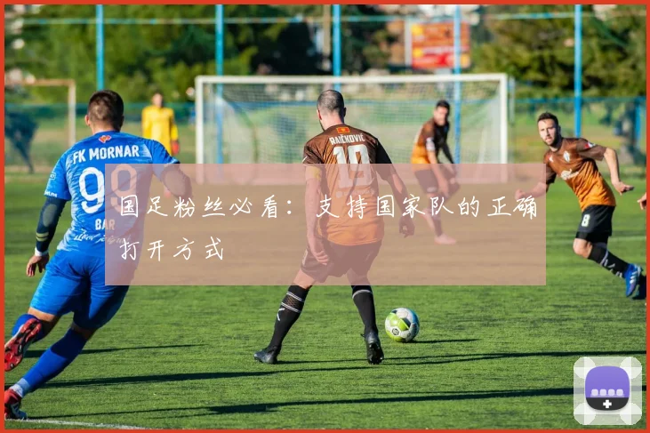国足粉丝必看:支持国家队的正确打开方式